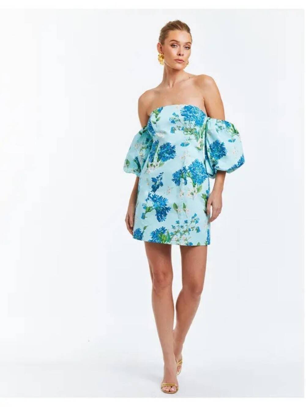 Women’s Blue Floral Puff-Sleeve Mini Dress